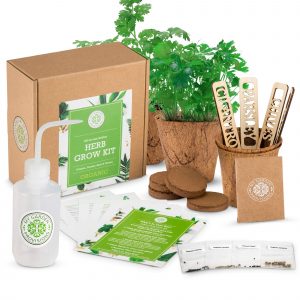 Train Smart Herb Garden Growing Kit 