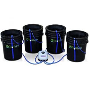 Power Grow 10" Hydroponic Bubbler Bucket System by DWC.
