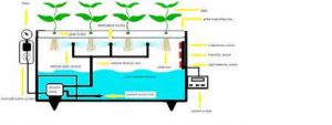 How Does the AEROPONIC System Work?