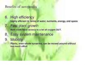 Benefits of Aeroponic