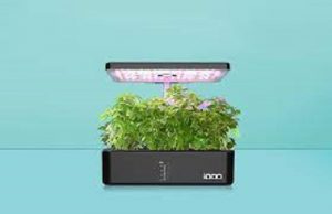 Smart Garden Indoor Herb Garden Starter Kit for Beginners 