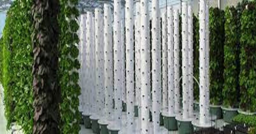 The 5 Best Aeroponic Tower Garden For Home in 2022.